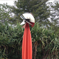 Plants: image 6 0f 13 thumb