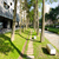 Plants: image 9 0f 13 thumb
